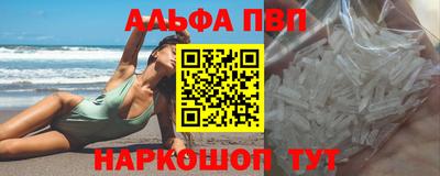 дмт Кингисепп