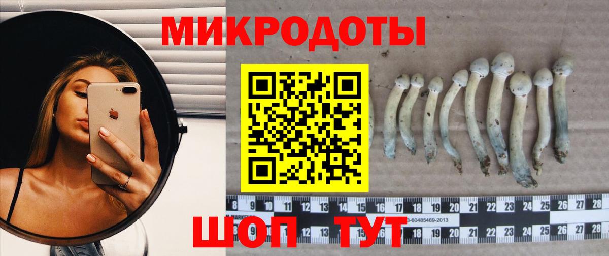 Псилоцибиновые грибы GOLDEN TEACHER Клинцы